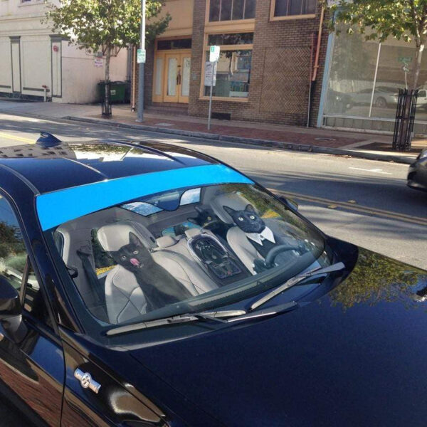 gearhumans 3D Black Cat Family Custom Car Auto Sunshade GL06072 Auto Sunshade