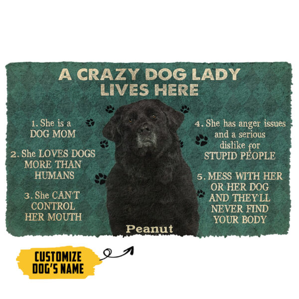 Gearhumans 3D A Crazy Dog Lady Lives Here Newfoundland Custom Name Doormat