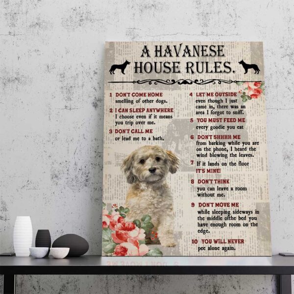 Gearhuman 3D A Havanese House Rules Canvas GK040258 Canvas