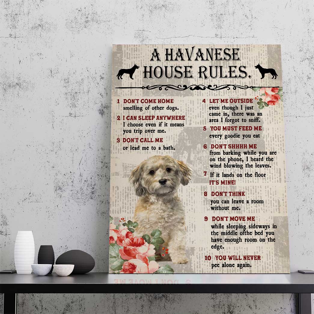Gearhuman 3D A Havanese House Rules Canvas GK040258 Canvas