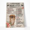 Gearhuman 3D A Pekingese House Rules Canvas GK040238 Canvas 1 Piece Non Frame M