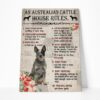 Gearhuman 3D An Australian Cattle House Rules Canvas GK04028 Canvas 1 Piece Non Frame M