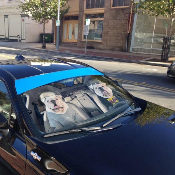 Gearhuman 3D Bulldog 02 Custom Car Auto Sunshade GV260812 Auto Sunshade 