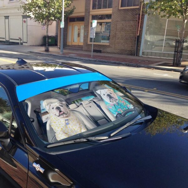 Gearhuman 3D Bulldog 14 Custom Car Auto Sunshade GV260821 Auto Sunshade 