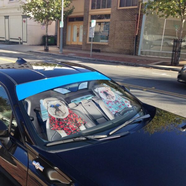 Gearhuman 3D Bulldog 16 Custom Car Auto Sunshade GV260825 Auto Sunshade 