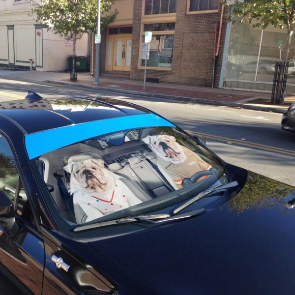 Gearhuman 3D Bulldog 20 Custom Car Auto Sunshade GV260820 Auto Sunshade 
