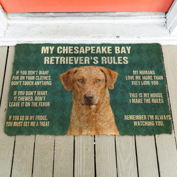 Gearhuman 3D Chesapeake Bay Retriever's Rules Doormat GK250126 Doormat