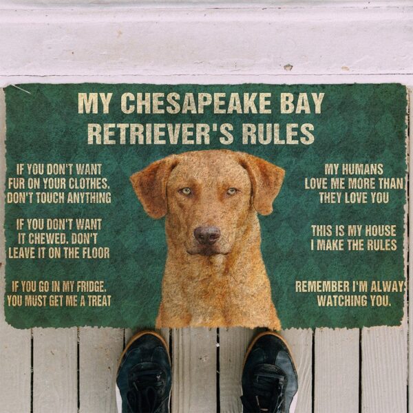Gearhuman 3D Chesapeake Bay Retriever's Rules Doormat GK250126 Doormat