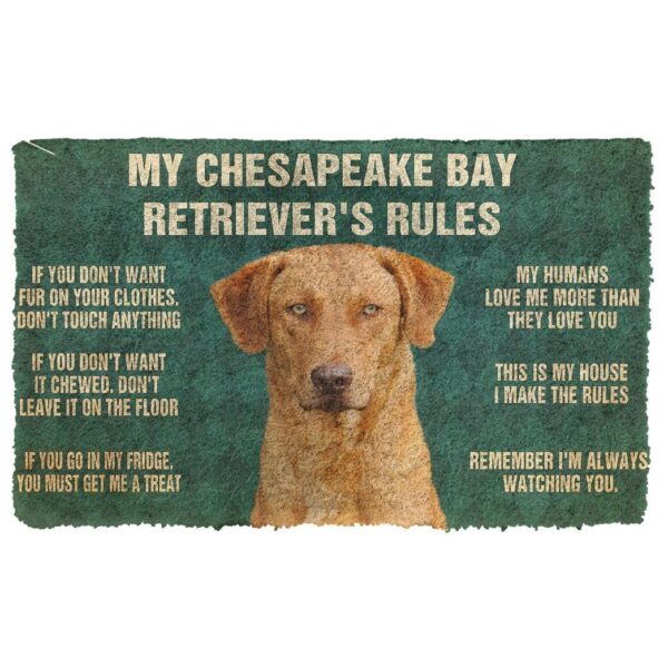 Gearhuman 3D Chesapeake Bay Retriever's Rules Doormat GK250126 Doormat Doormat S(15,8''x23,6'')