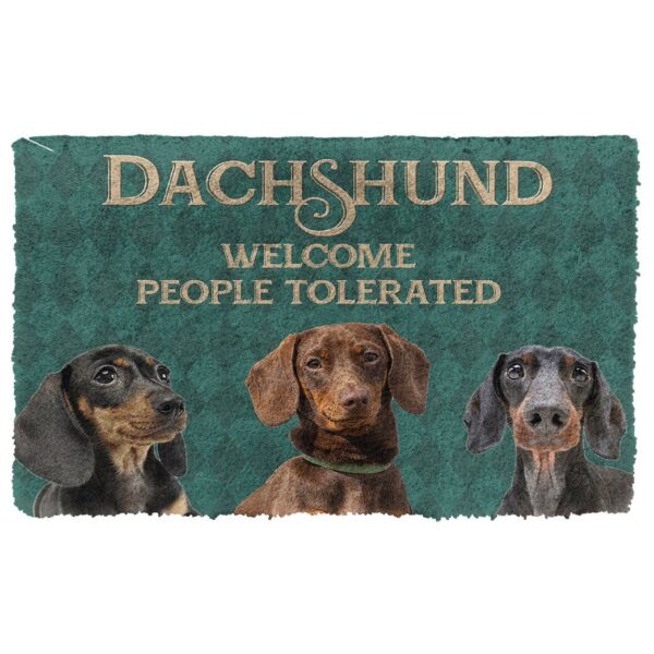 Gearhuman 3D Dachshund Welcome People Tolerated Doormat GK260132 Doormat Doormat S(15,8''x23,6'')