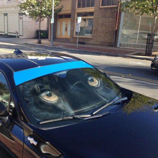 Gearhuman 3D Panther Eyes Car Sunshade ZK3006213 Auto Sunshade 