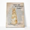 Gearhuman 3D There Are No Ordinary Rabbit Canvas GB050310 Canvas 1 Piece Non Frame M