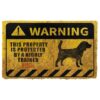 Gearhuman 3D This Property Is Protected By A Highly Trained Beagle Doormat ZK03062110 Doormat Doormat S(15,8inchx23,6inch)