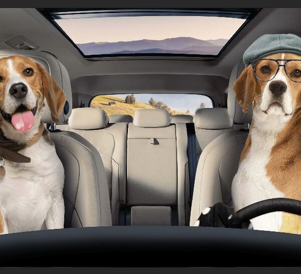 gearhumans 3D Beagle Dogs Custom Car Auto Sunshade GW19064 Auto Sunshade