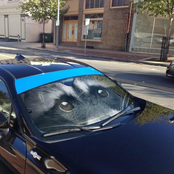 Gearhumans 3D Beautiful Eyes Of Raccoon Custom Sunshade GS01072110 Auto Sunshade 