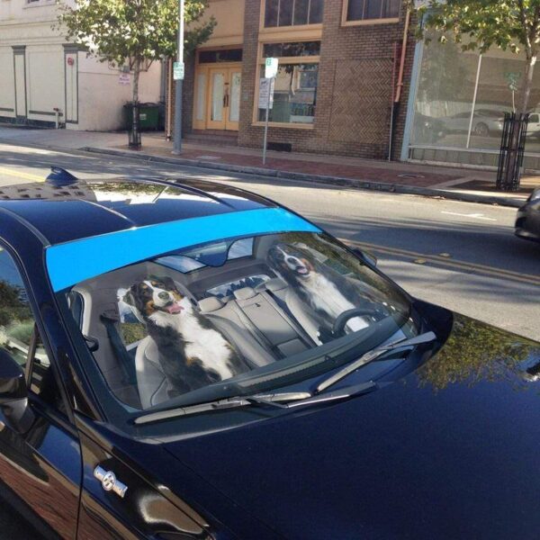 gearhumans 3D Bernese Mountain Dog Custom Sunshade GS19062 Auto Sunshade