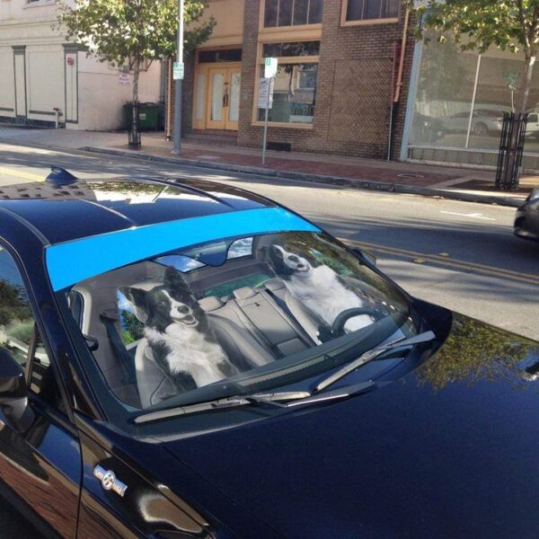 gearhumans 3D Border Collie Custom Sunshade GS19063 Auto Sunshade 