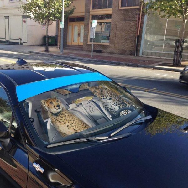 gearhumans 3D Cheetah & Leopard Custom Car Auto Sunshade GS24063 Auto Sunshade 