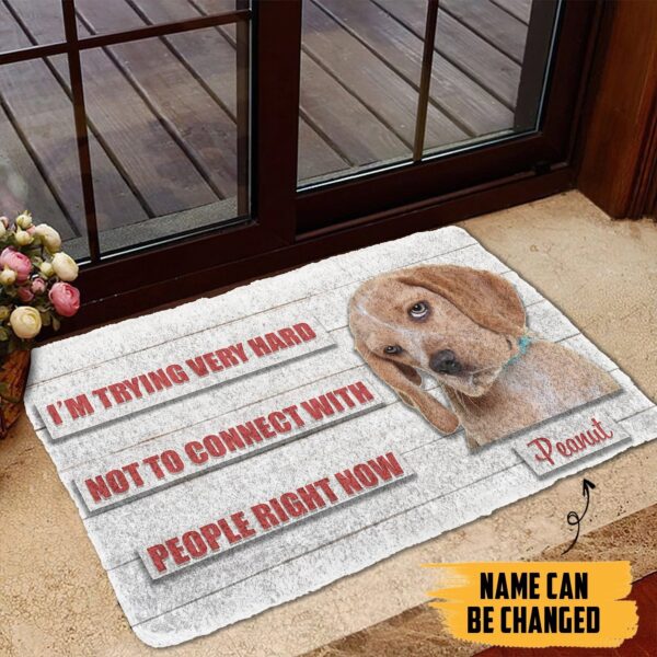 Gearhumans 3D David Rose Im trying very hard not to connect with people right now Custom Name Doormat GO27052111 Doormat