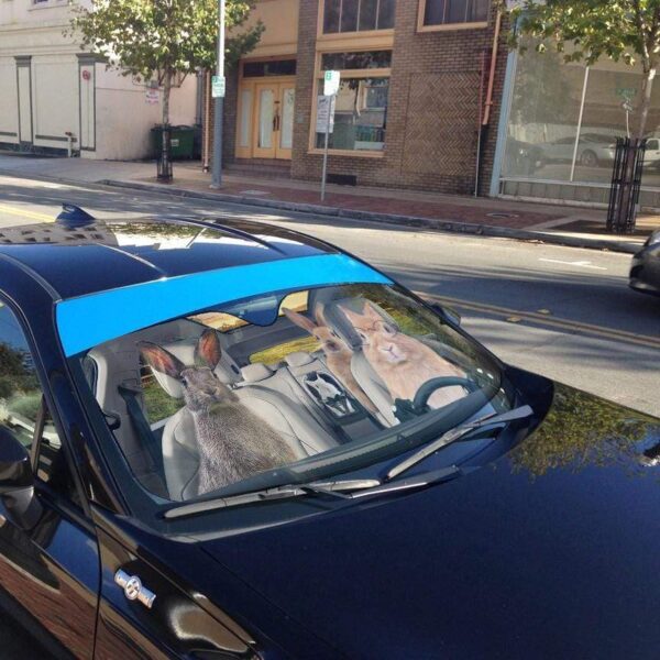 gearhumans 3D Family Rabits Custom Car Auto Sunshade GL06075 Auto Sunshade 