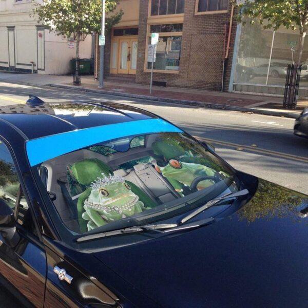 gearhumans 3D Fancy Frogs Custom Car Auto Sunshade GS06076 Auto Sunshade 