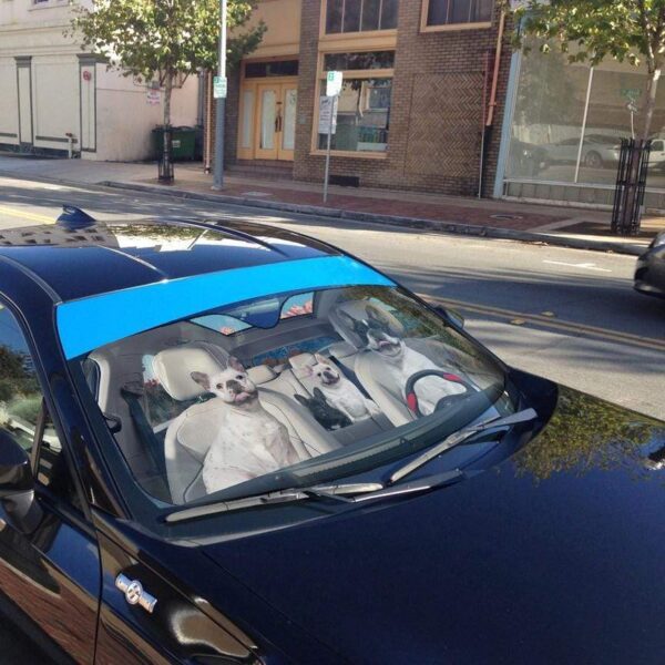 gearhumans 3D French Bulldog Family Custom Car Auto Sunshade GL23075 Auto Sunshade 