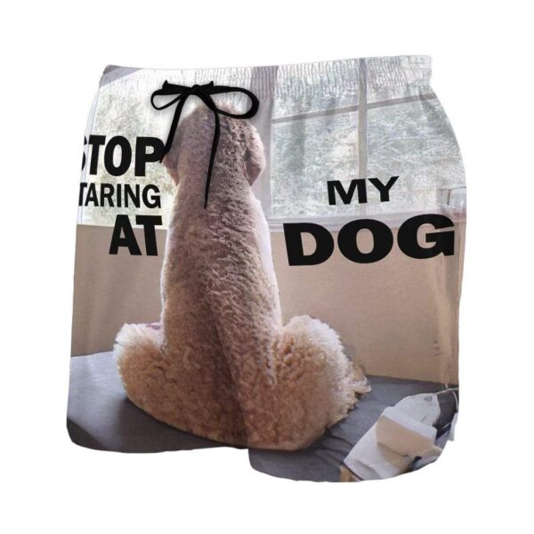 Gearhumans 3D Stop staring at my dog Custom Beach Shorts Swim Trunks GV30071 Men Shorts