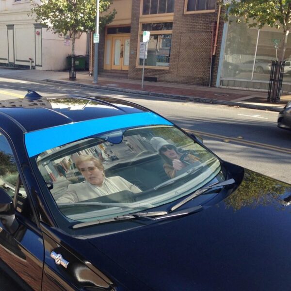 Gearhumans 3D The Princess Diaries Custom Auto Car Sunshade GS0405214 Auto Sunshade 