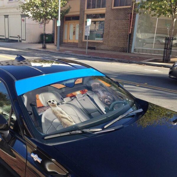 gearhumans 3D Timon And Pumbaa Custom Car Auto Sunshade GL06078 Auto Sunshade 