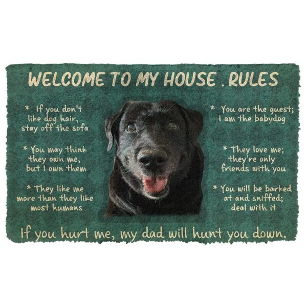 Gearhumans 3D Welcome To My House Rules Custom Doormat GW0705217 Doormat Doormat S(15,8inchx23,6inch) 