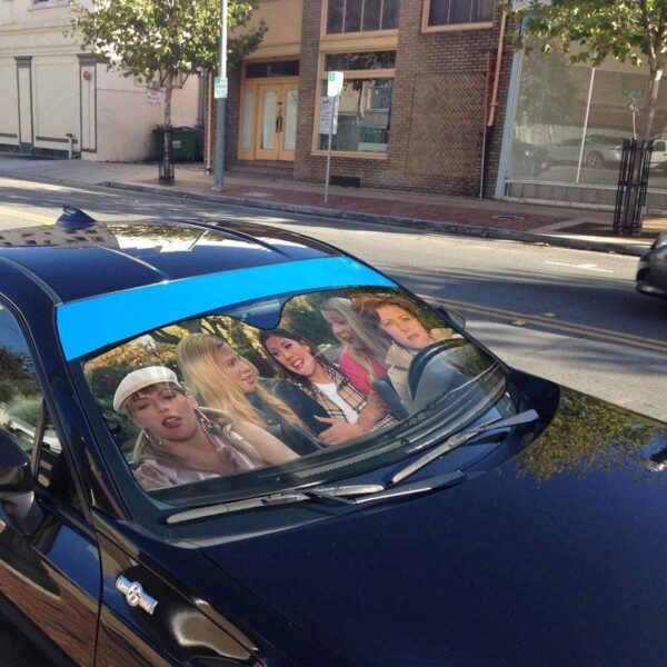 gearhumans 3D White Chicks Custom Car Auto Sunshade GL030819 Auto Sunshade 