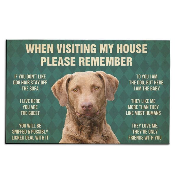 Gearhumans Gearhuman 3D Chesapeake Bay Retriever Dog Carpet GV26033 Square Carpet Carpet S