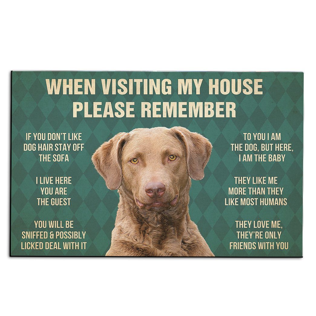 Gearhumans Gearhuman 3D Chesapeake Bay Retriever Dog Carpet GV26033 Square Carpet Carpet S