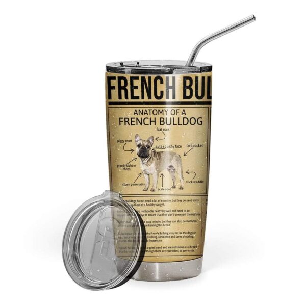 Gearhumans Gearhuman 3D French Bulldog Knowledge Breeds Custom Design Vacuum Insulated Tumbler GV22062 Tumbler 20oz