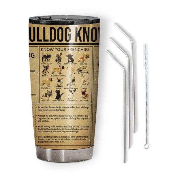 Gearhumans Gearhuman 3D French Bulldog Knowledge Breeds Custom Design Vacuum Insulated Tumbler GV22062 Tumbler