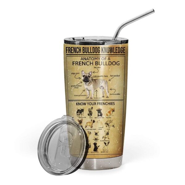 Gearhumans Gearhuman 3D French Bulldog Knowledge Custom Design Vacuum Insulated Tumbler GV22061 Tumbler 20oz