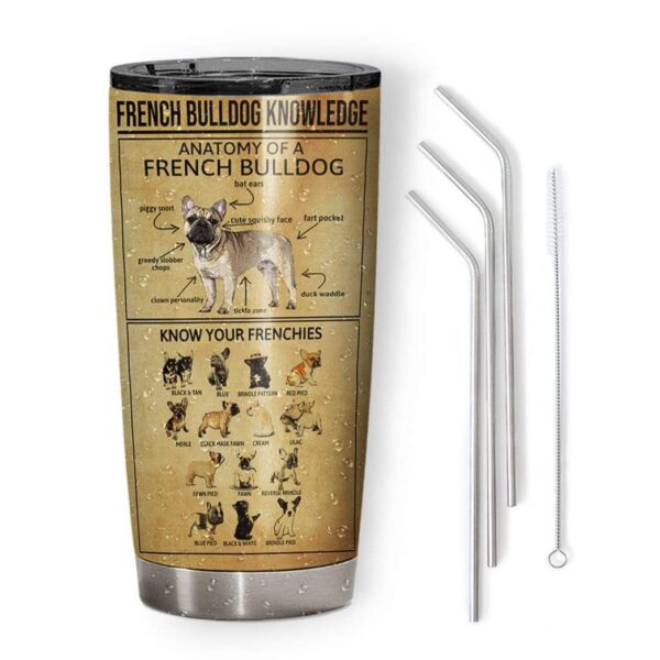 Gearhumans Gearhuman 3D French Bulldog Knowledge Custom Design Vacuum Insulated Tumbler GV22061 Tumbler