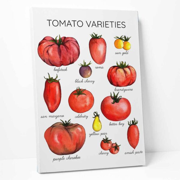 Alternative view of Gearhumans Tomato Varieties Canvas