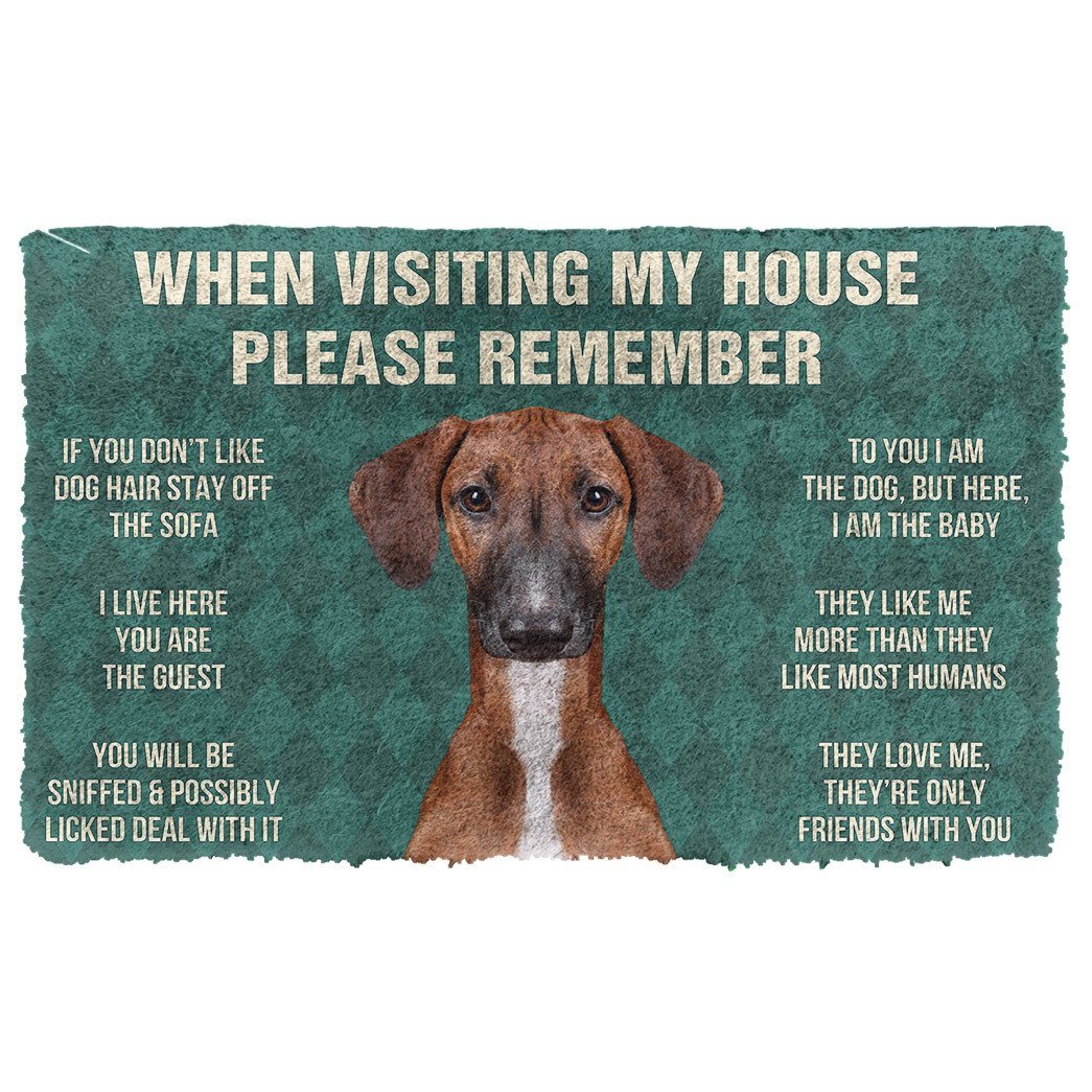 GearHuman 3D Please Remember Azawakh Dogs House Rules Custom Doormat GR220170 Doormat Doormat S(15,8''x23,6'')