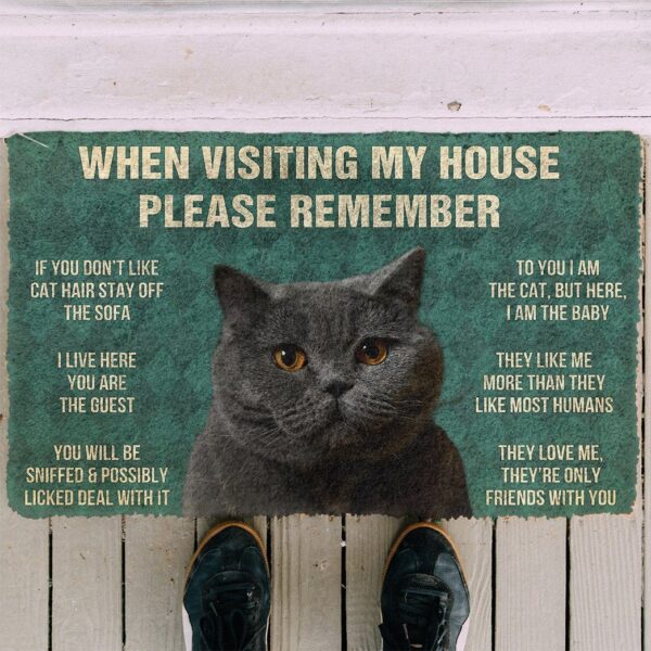 GearHuman 3D Please Remember British Shorthair Cat House Rules Doormat GR15012 Doormat 