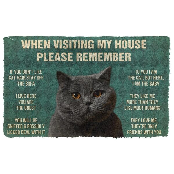 GearHuman 3D Please Remember British Shorthair Cat House Rules Doormat GR15012 Doormat Doormat S(15,8''x23,6'') 
