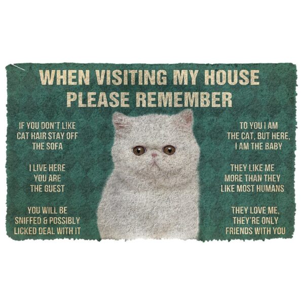 GearHuman 3D Please Remember Exotic Shorthair Cats House Rules Doormat GV260111 Doormat Doormat S(15,8''x23,6'')