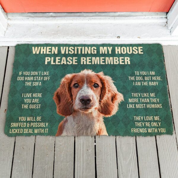 GearHuman 3D Please Remember Irish Red and White Setter Dogs House Rules Doormat GV250153 Doormat