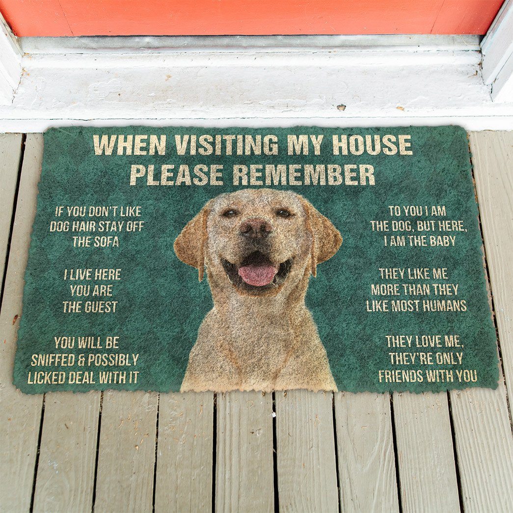 GearHuman 3D Please Remember Labrador Retriever Dog's House Rules Doormat GR20012 Doormat