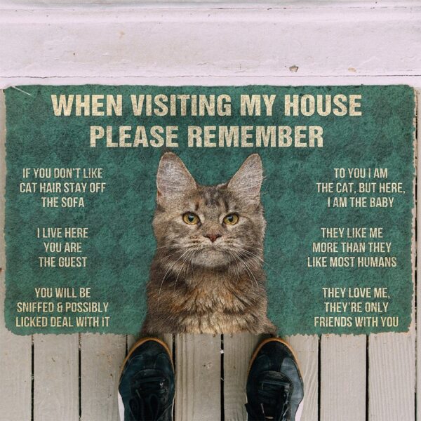 GearHuman 3D Please Remember Polydactyl Cat House Rules Doormat GR14019 Doormat 