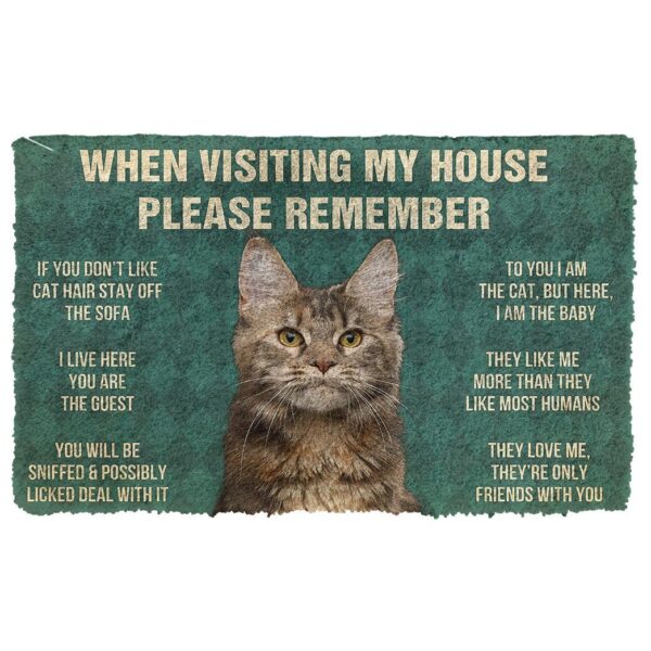 GearHuman 3D Please Remember Polydactyl Cat House Rules Doormat GR14019 Doormat Doormat S(15,8''x23,6'') 