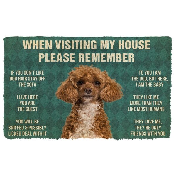 GearHuman 3D Please Remember Poodle Dog's House Rules Doormat GW220133 Doormat Doormat S(15,8''x23,6'')