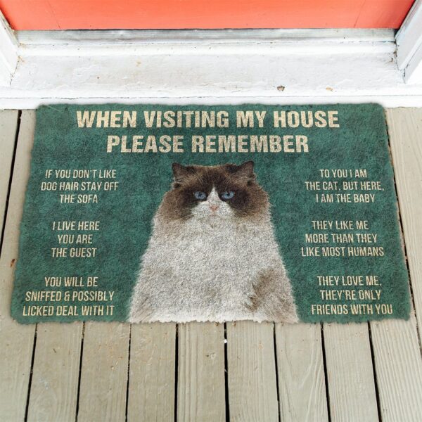 GearHuman 3D Please Remember Ragdoll Cats House Rules Doormat GV250161 Doormat