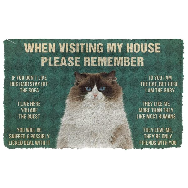 GearHuman 3D Please Remember Ragdoll Cats House Rules Doormat GV250161 Doormat Doormat S(15,8''x23,6'')