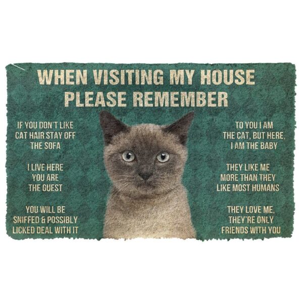 GearHuman 3D Please Remember Siamese Cat House Rules Doormat GR15013 Doormat Doormat S(15,8''x23,6'') 